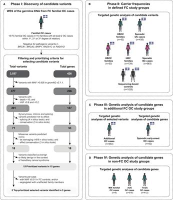 Genetic analyses of DNA repair pathway associated genes implicate new candidate cancer predisposing genes in ancestrally defined ovarian cancer cases